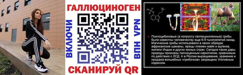 Купить  Киров  Галлюциногенные грибы Psilocybine cubensis 